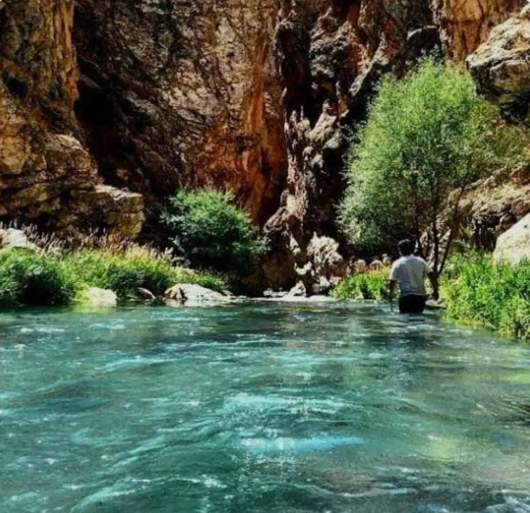دورهمی و طبیعت گردی|فعالیت داوطلبانه|ری, ظهیرآباد|دیوار