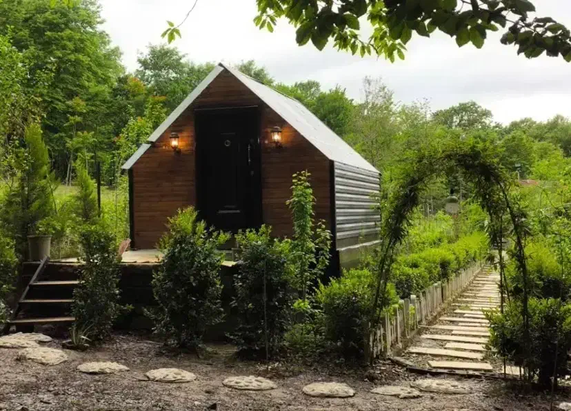 راهنمایی دعا نویس|فعالیت داوطلبانه|بم, |دیوار