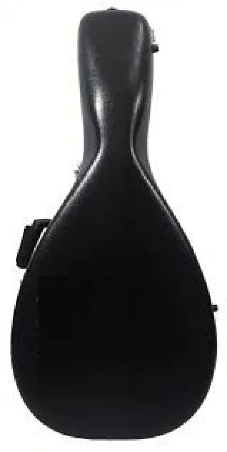 هارد کیس عود(بربط)|سازهای سنتی|تهران, امام زاده قاسم (نیاوران)|دیوار