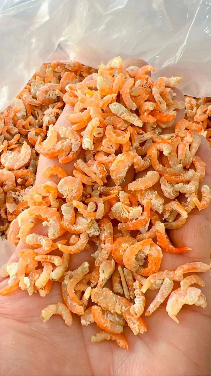میگو خشک تازه و تمیز|خوردنی و آشامیدنی|شیراز, دروازه قران|دیوار