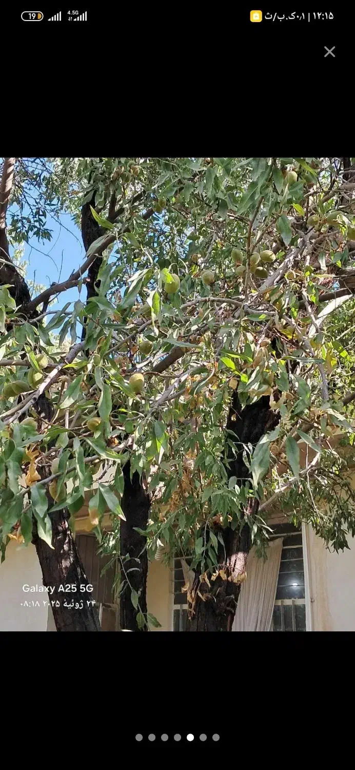 زمین روستای وشنوه|فروش زمین و ملک کلنگی|قم, حاج زینل|دیوار