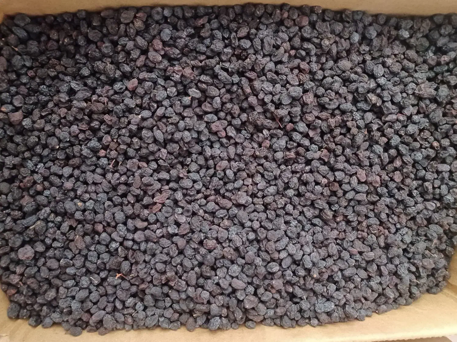 کشمش یاقوتی فروشی|خوردنی و آشامیدنی|ساوه, |دیوار