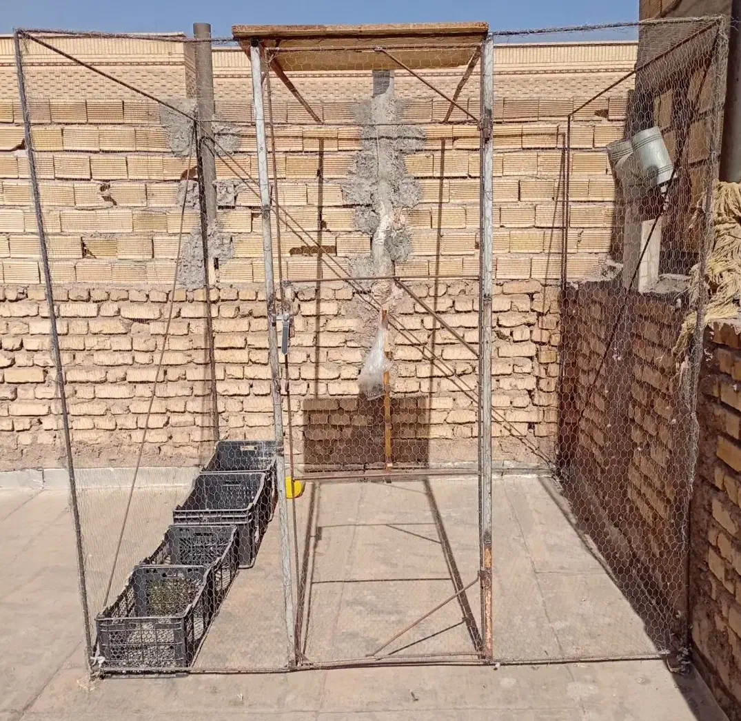 قفس کبوتر|لوازم جانبی حیوانات|لنجان, |دیوار