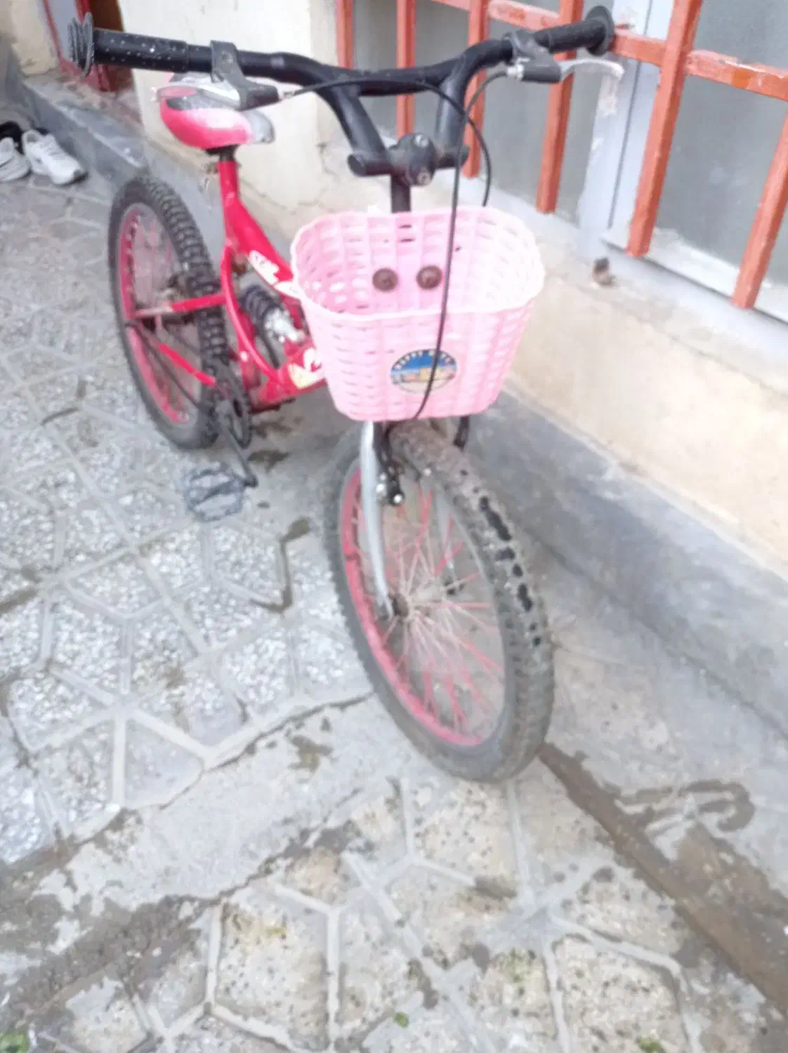 دوچرخه ۲۰حرفه ای|دوچرخه، اسکیت، اسکوتر|بروجرد, |دیوار