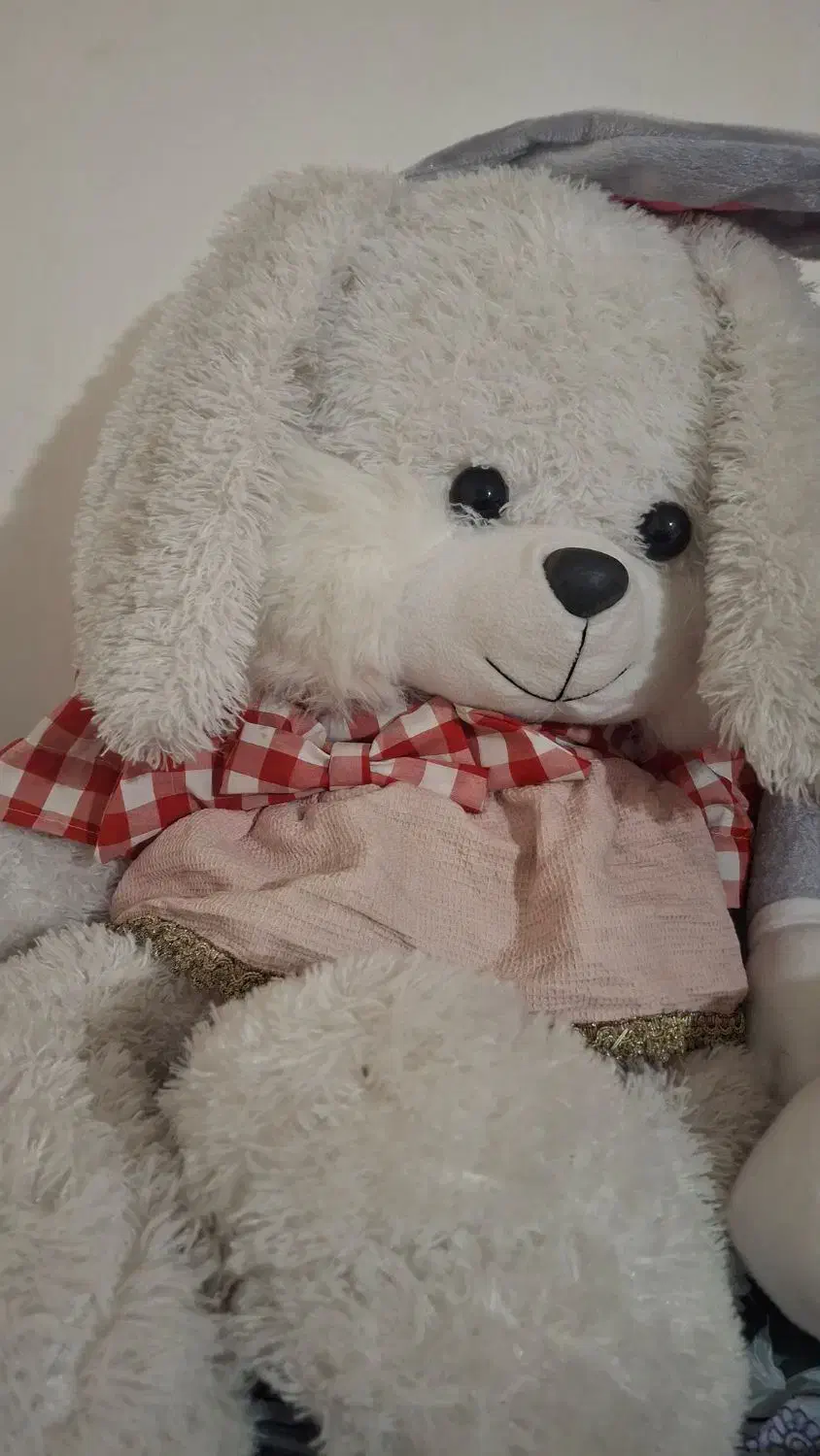 عروسک خرگوش و خرس در حد|اسباب‌بازی بچه|زنجان, |دیوار