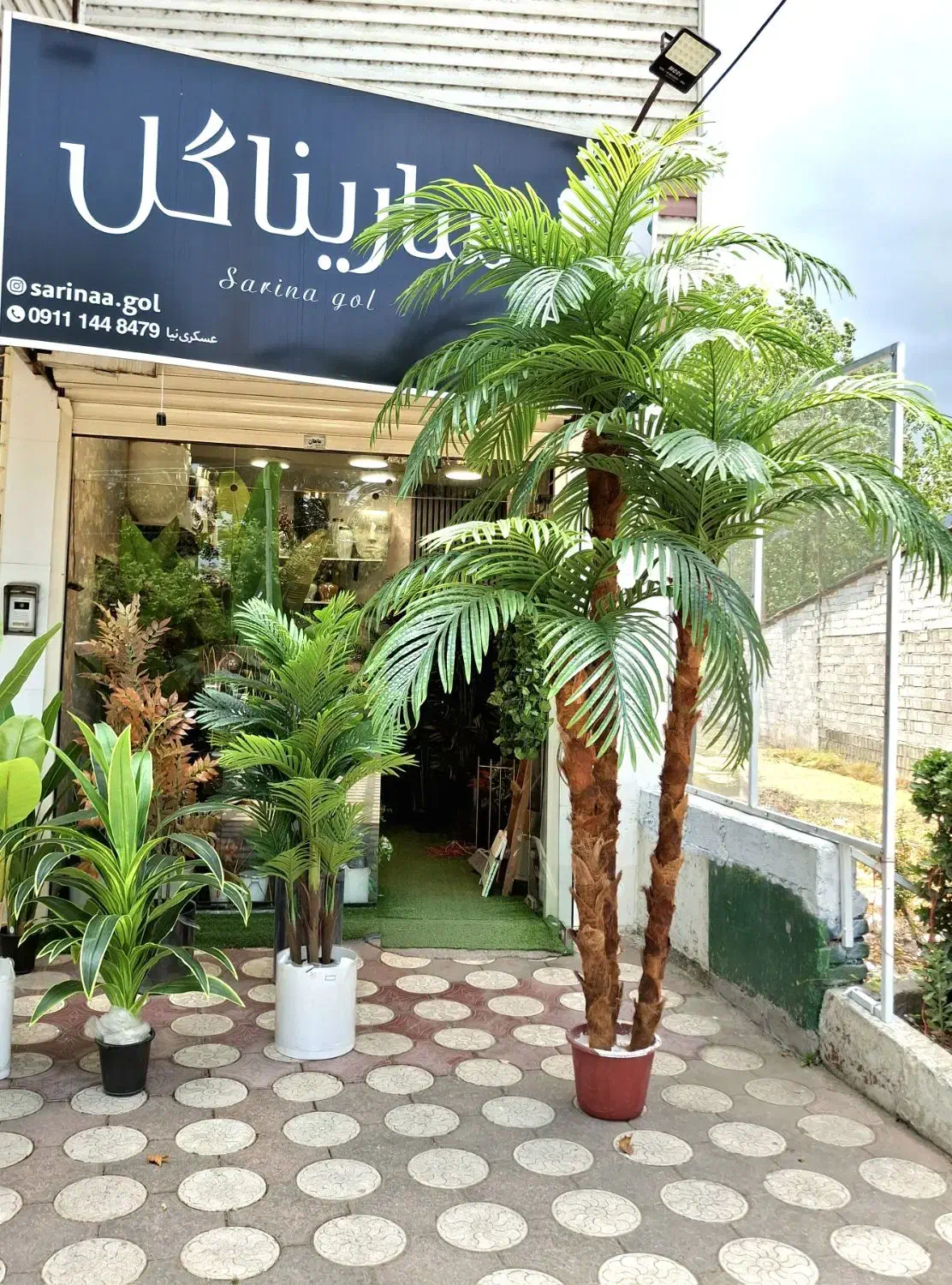 تولید درخت نخل مصنوعی|گل مصنوعی|لنگرود, |دیوار