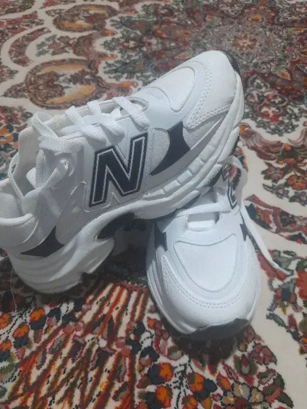 غیره|کیف، کفش، کمربند|کرمان, |دیوار