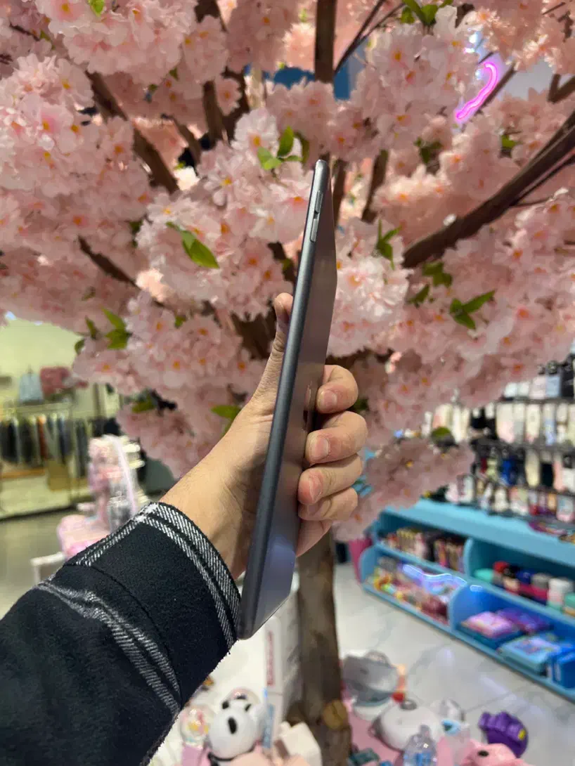 Ipad mini 5|تبلت|تهران, آبشار تهران (دریاچه)|دیوار