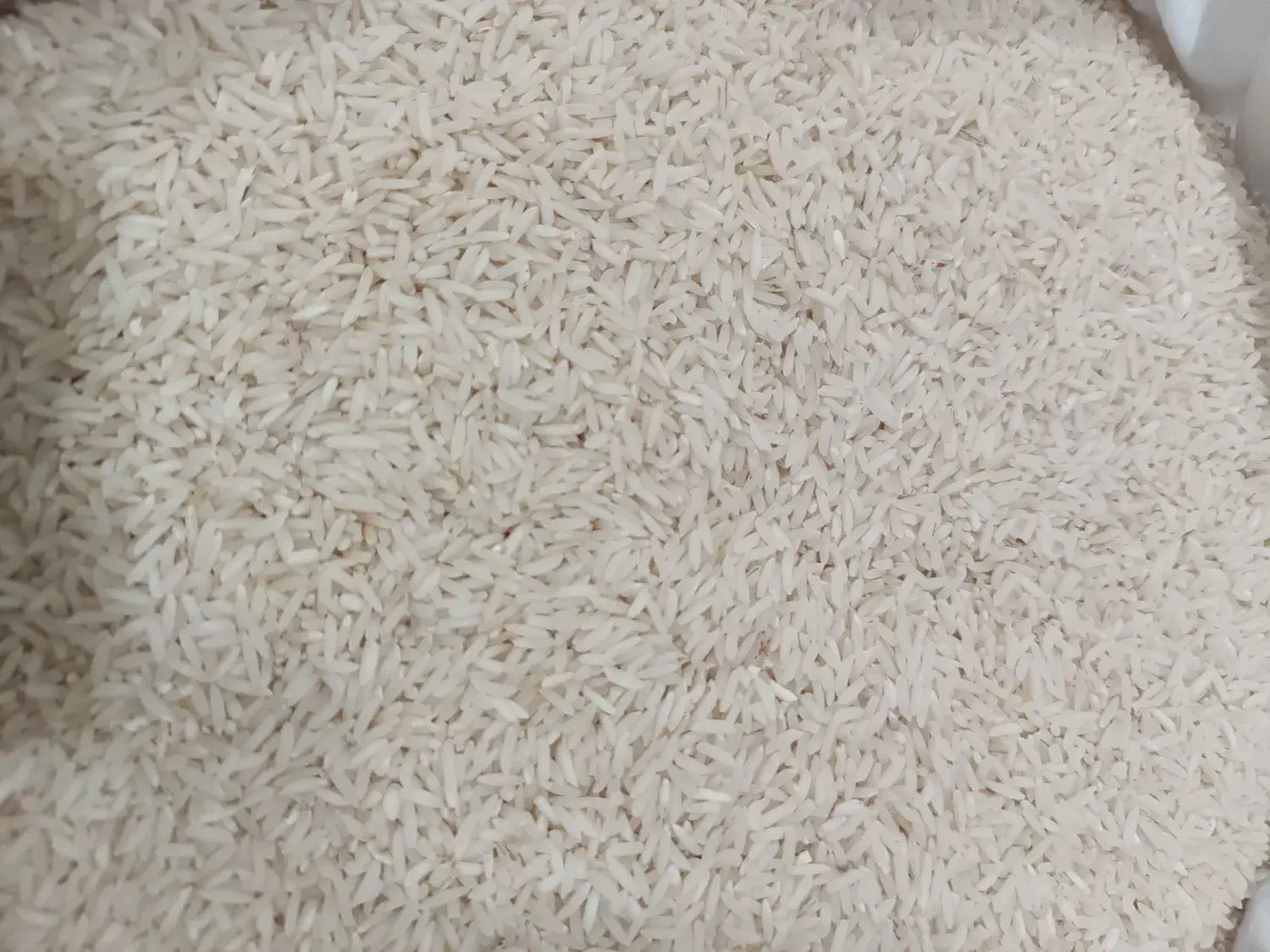 طارم هاشمی رشت|خوردنی و آشامیدنی|گمیشان, |دیوار