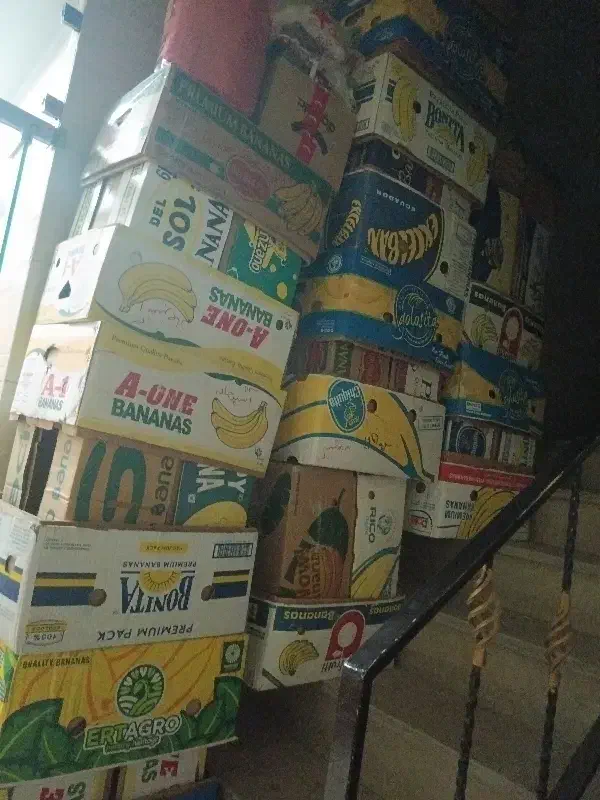 جعبه موز|ظروف نگهدارنده، پلاستیکی، یک‌بارمصرف|تهران, هلال احمر|دیوار