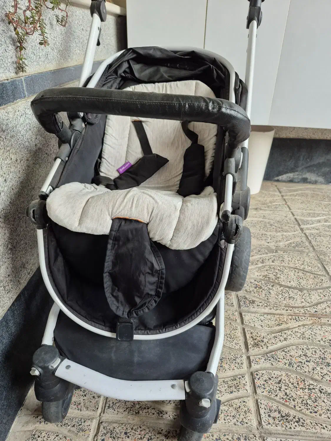 کالسکه|کالسکه و لوازم جانبی|چهارباغ, |دیوار