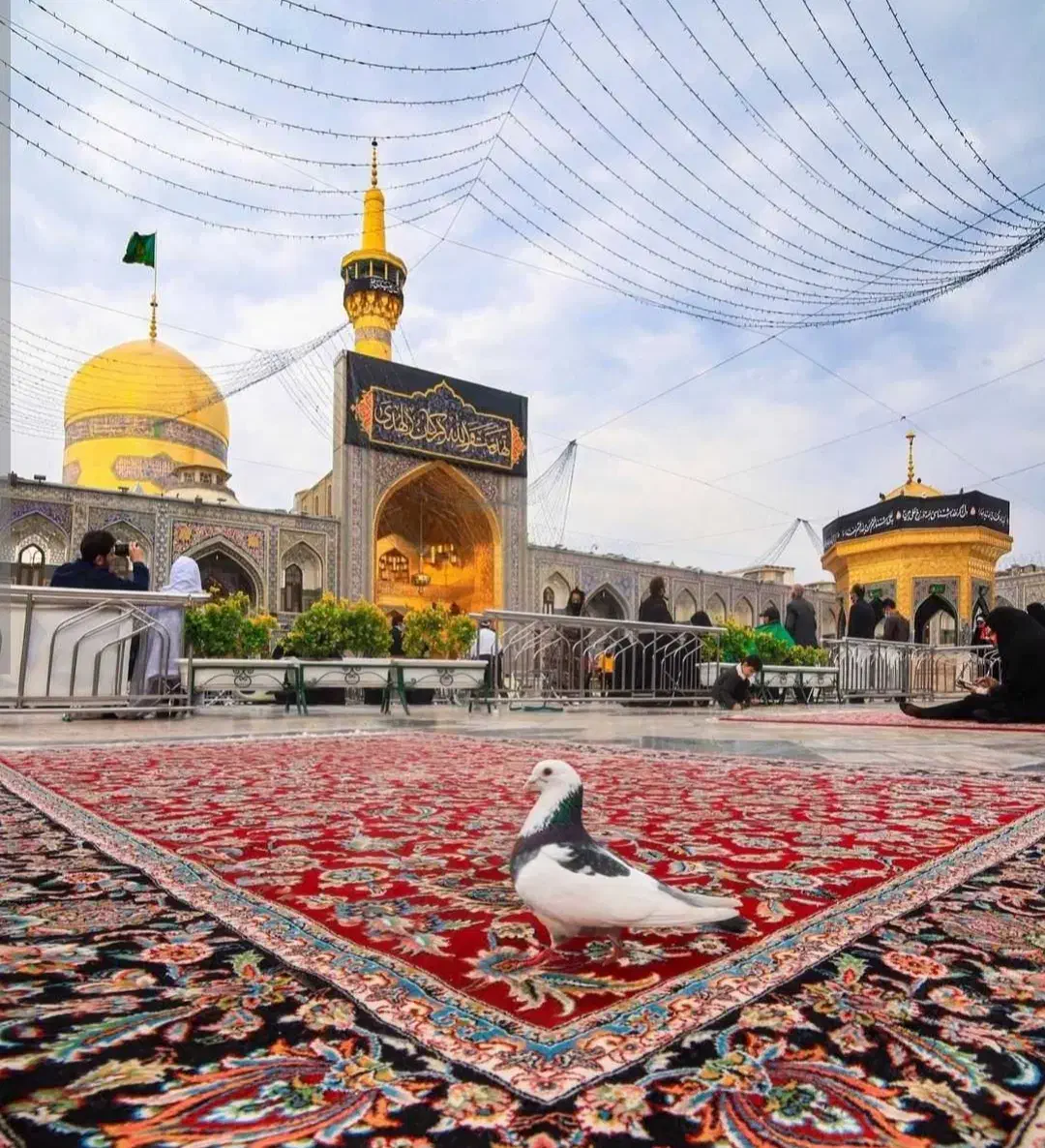 کاروان زیارتی مشهد مقدس|تور و چارتر|شیراز, دارالرحمه|دیوار