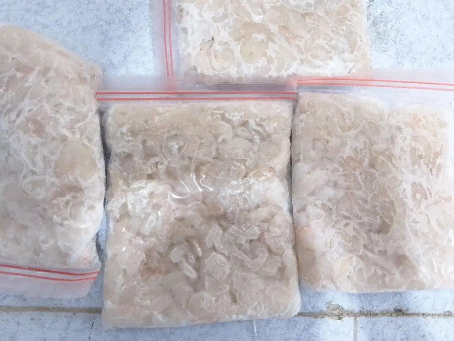 ماهی و میگو|ماهی|قشم, |دیوار