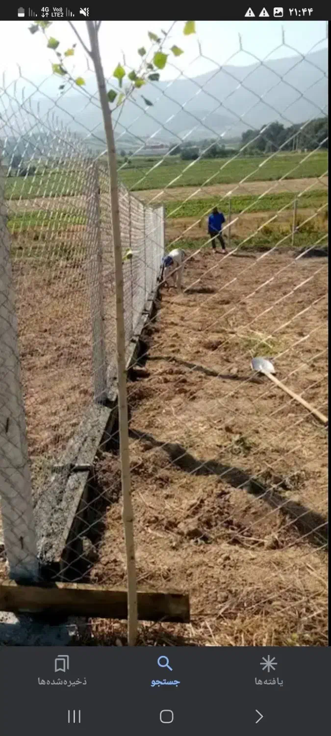 فنس زنی|خدمات باغبانی و درختکاری|رشت, جانبازان|دیوار