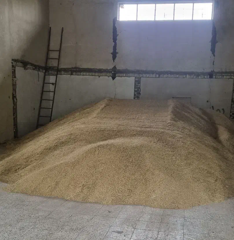 خوراک دام عمده|خدمات باغبانی و درختکاری|رامهرمز, |دیوار