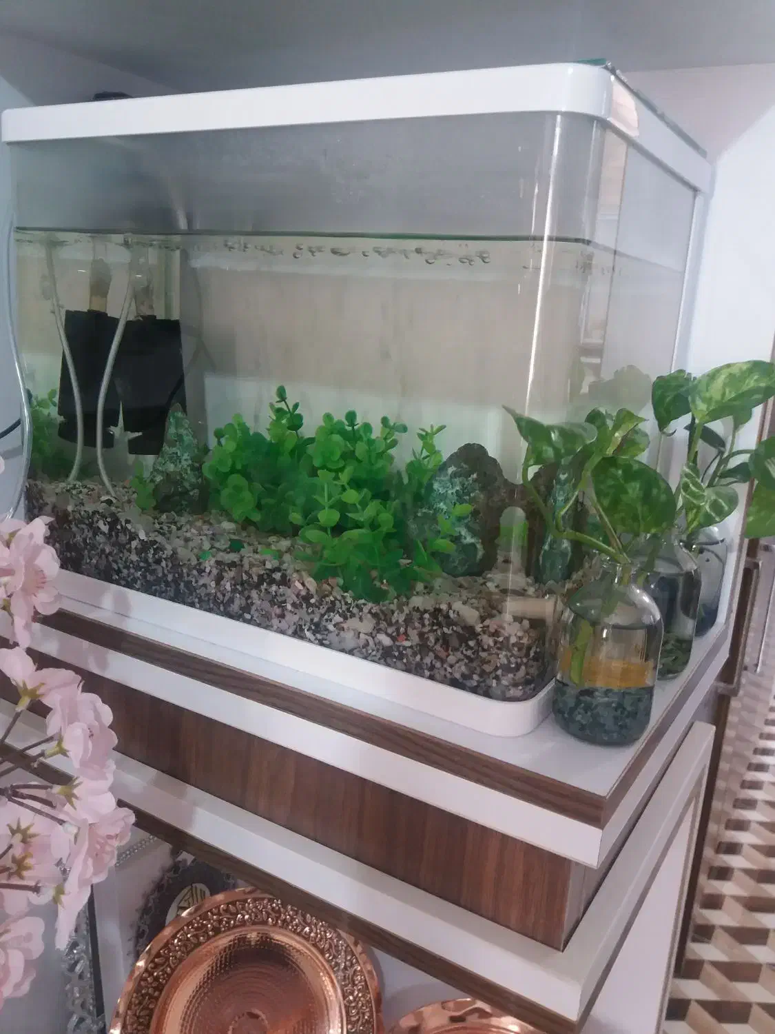 آکواریوم شیشیه خم درحدنو|ماهی|ابهر, |دیوار