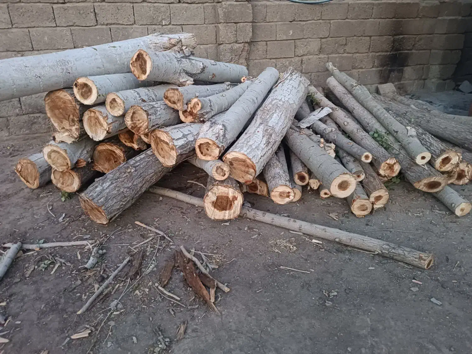 خرید انواع چوب|خدمات باغبانی و درختکاری|کنگاور, |دیوار