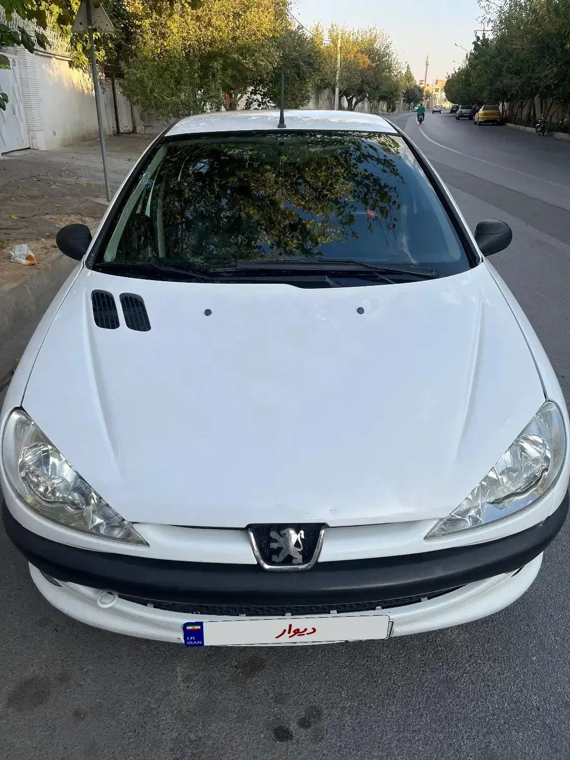 206 v20 sd  مدل ۹۱|خودرو سواری و وانت|شیراز, گلکوب|دیوار