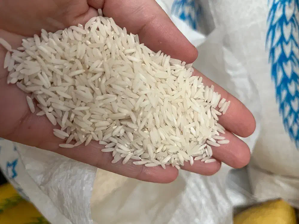 برنج سر لاشه هاشمی.و هاشمی پرمحصول درشت|خوردنی و آشامیدنی|الوند, |دیوار