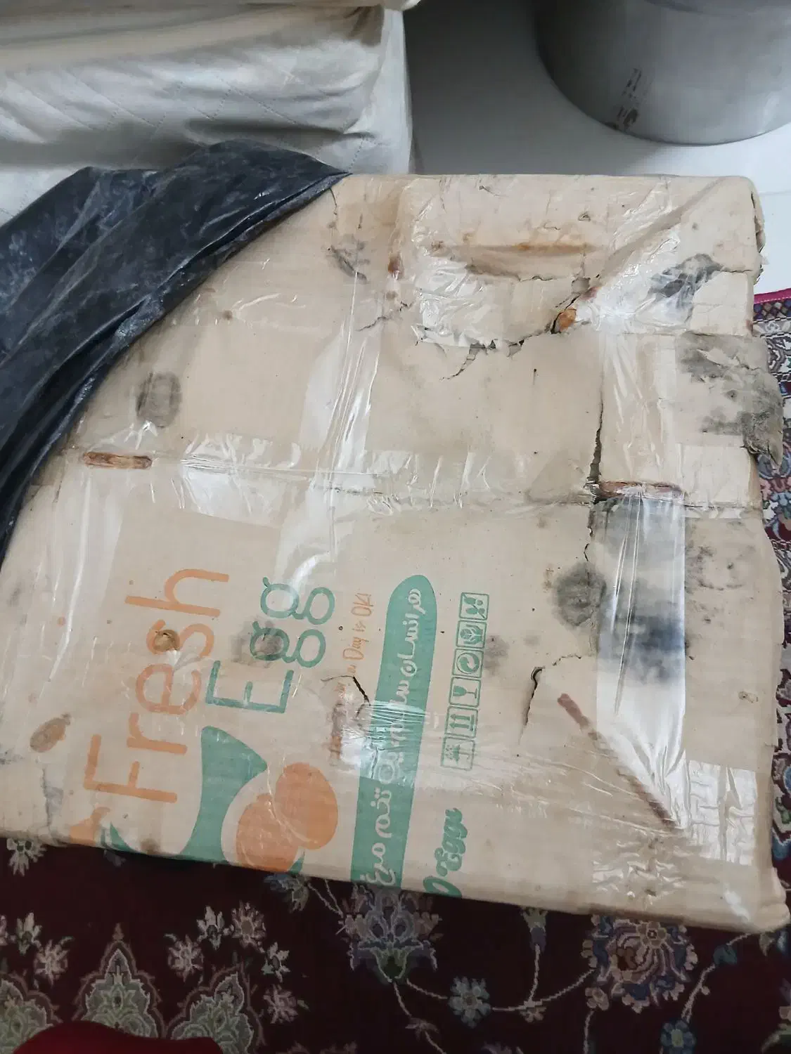 اجاق گاز|اجاق گاز و لوازم برقی پخت‌وپز|مشهد, شفا|دیوار