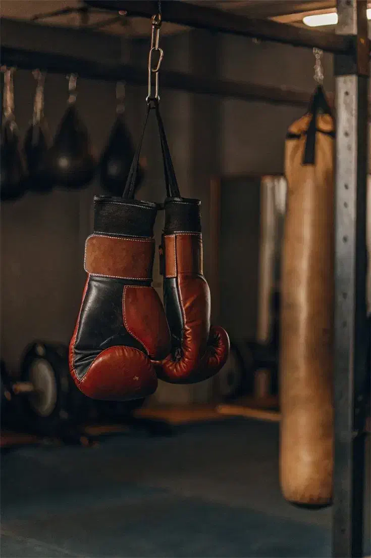 هنرهای رزمی رینگی|خدمات آموزشی|مشهد, چهارچشمه|دیوار