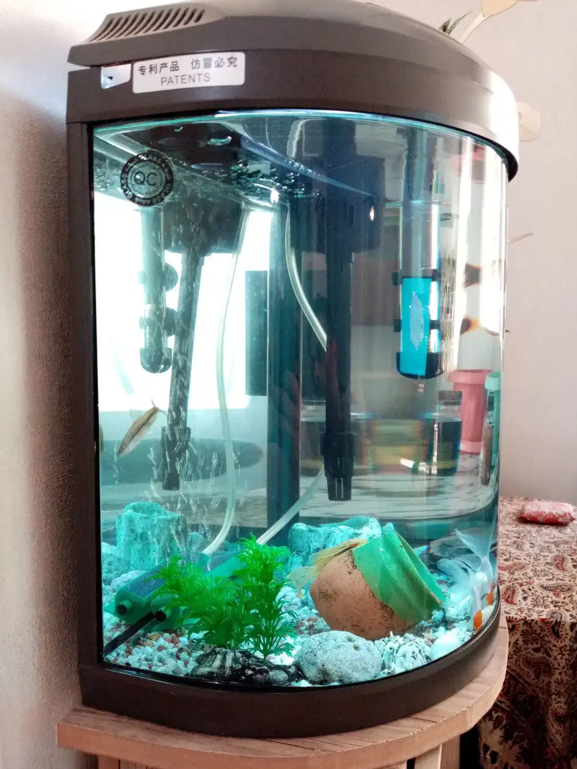 آکواریوم نیم دایره ماهیران|ماهی|شهریار, شهرک وائین|دیوار