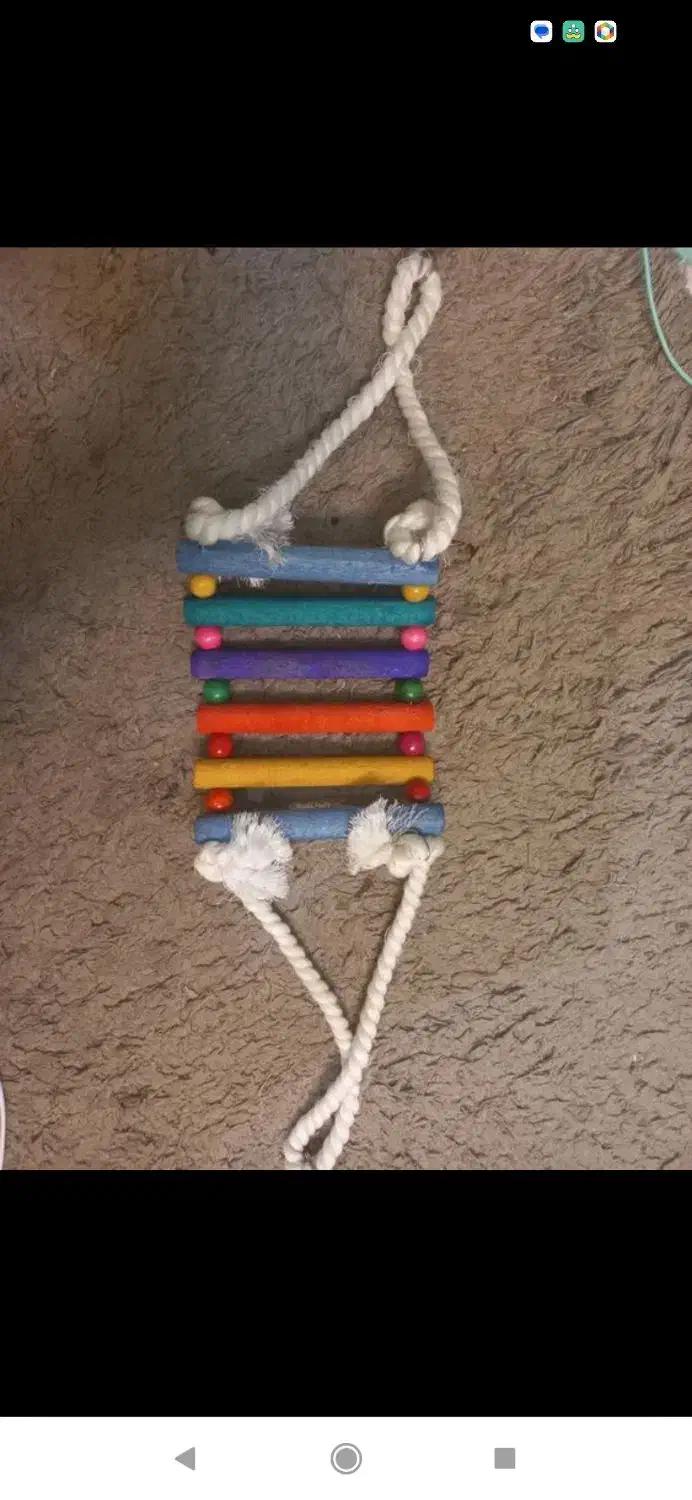 انواع اسباب بازی عروس هلندی|لوازم جانبی حیوانات|بناب, |دیوار