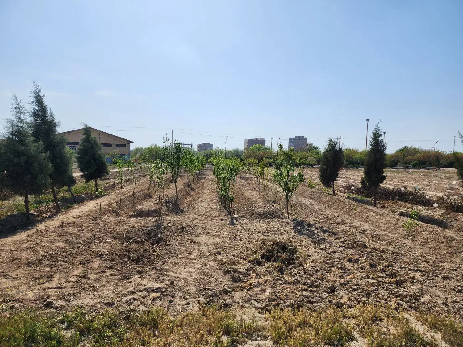 باغ|فروش خانه و ویلا|رباط‌کریم, رباط‌کریم|دیوار