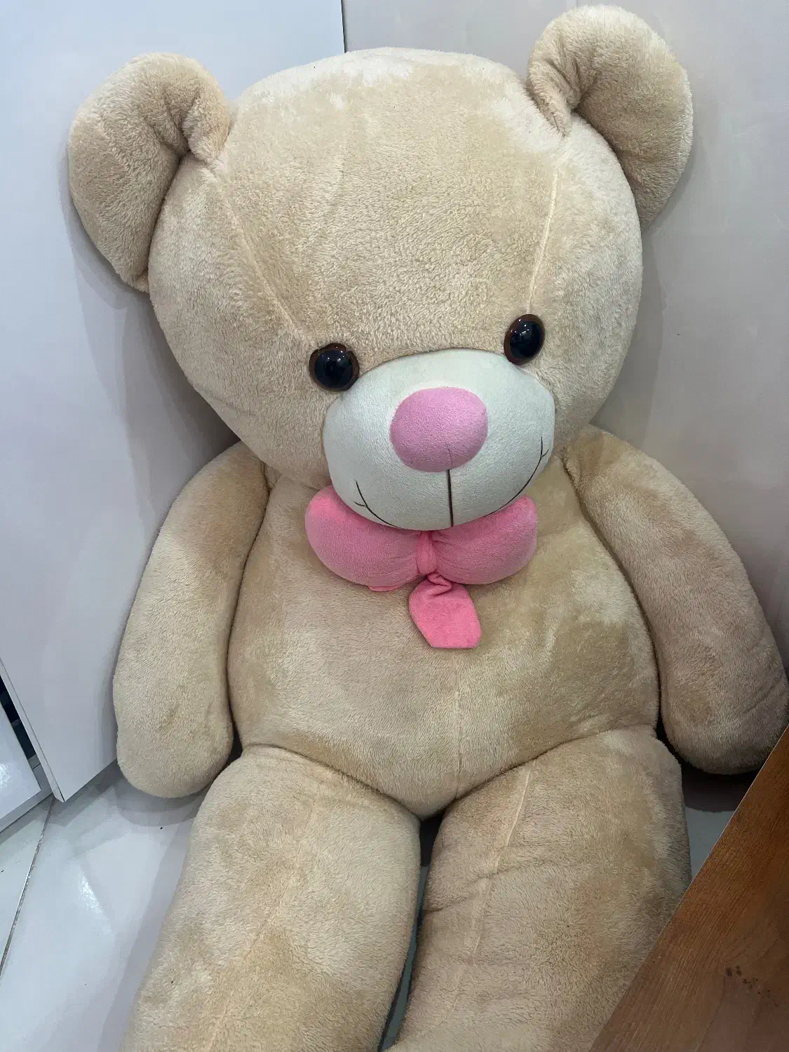 عروسک|اسباب‌‌بازی|بیرجند, |دیوار