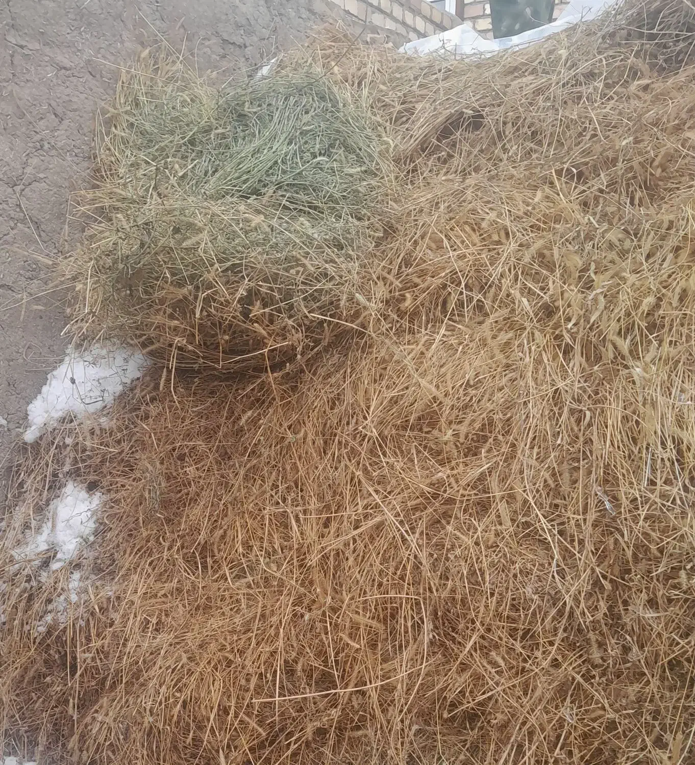 یونجه‌|لوازم جانبی حیوانات|خوی, |دیوار