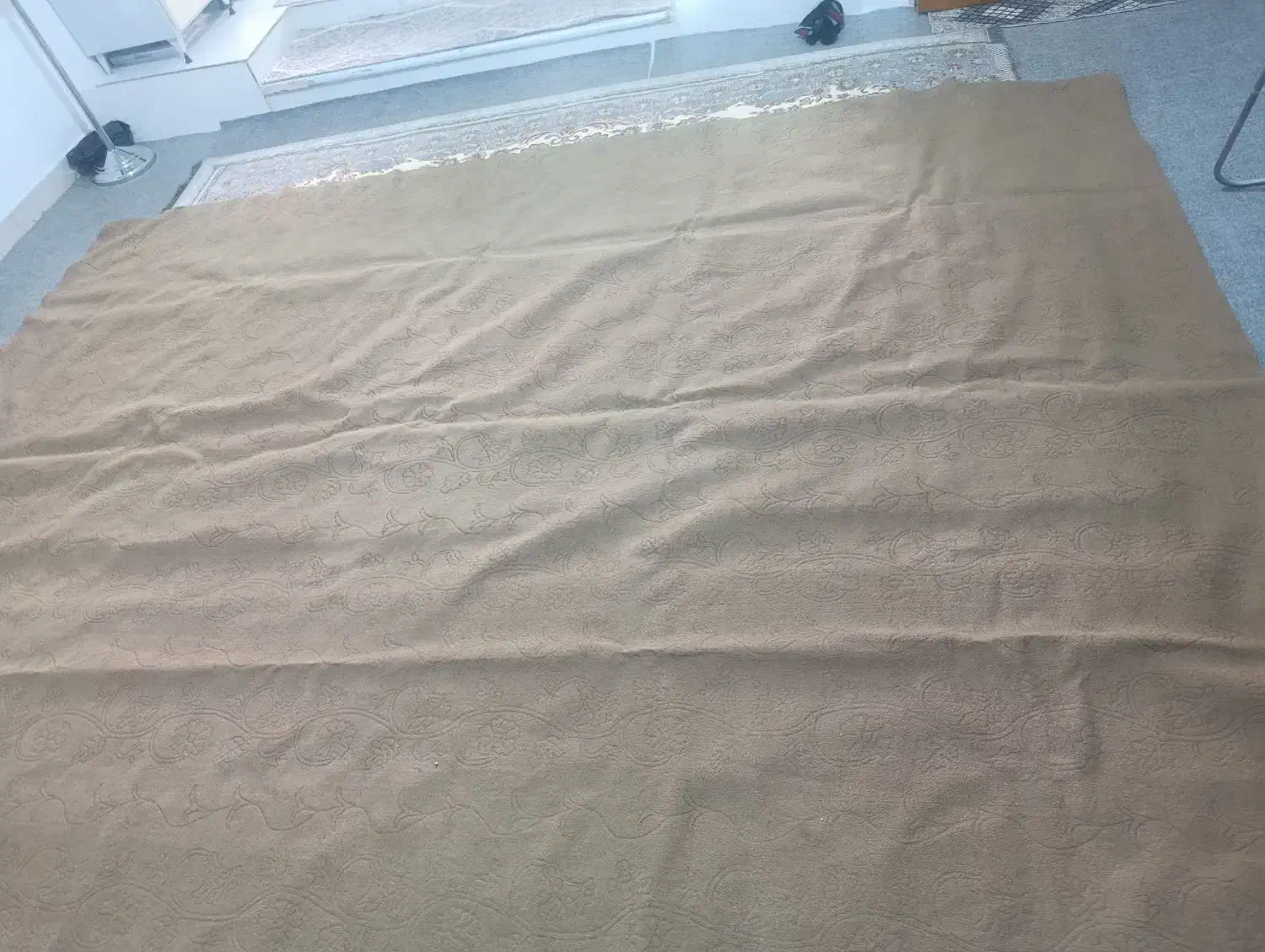 موکت گردویی|موکت|کرمانشاه, |دیوار