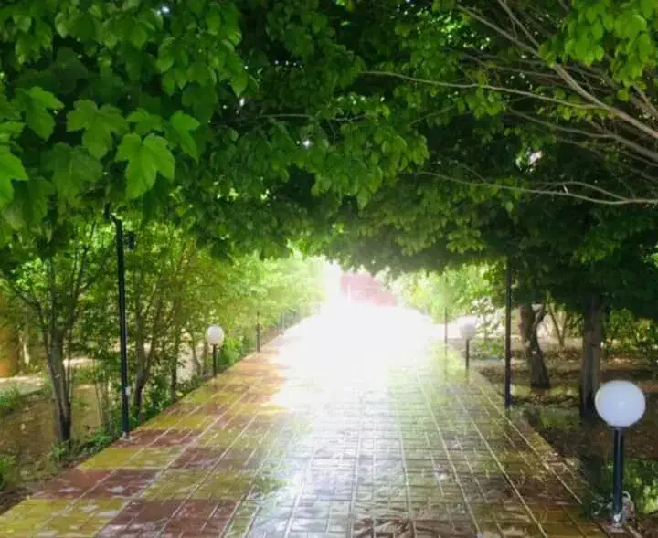 کارگاه140متری|اجارهٔ آپارتمان|شیراز, سلطان آباد|دیوار