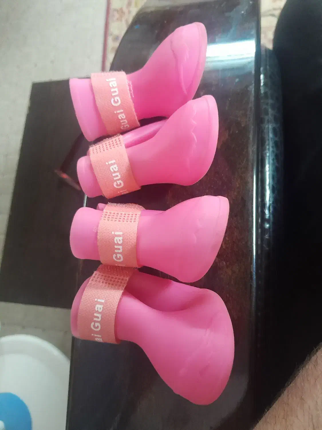 کفش سگ در حد نو|لوازم جانبی حیوانات|لاهیجان, رجایی|دیوار