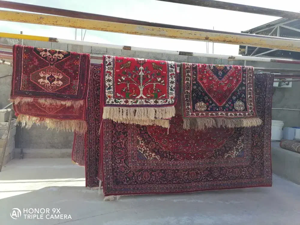 قالیشویی مبل شویی رحمت/فرگاز/طلاییه/زرهی|خدمات نظافت|شیراز, فرهنگیان|دیوار