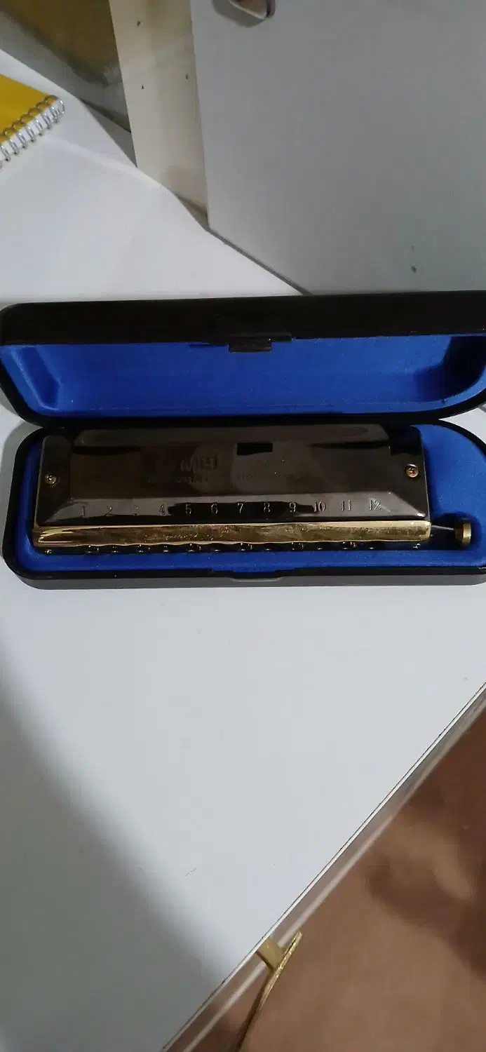 ساز دهنی حرفه‌ای|سازهای بادی|چناران, |دیوار