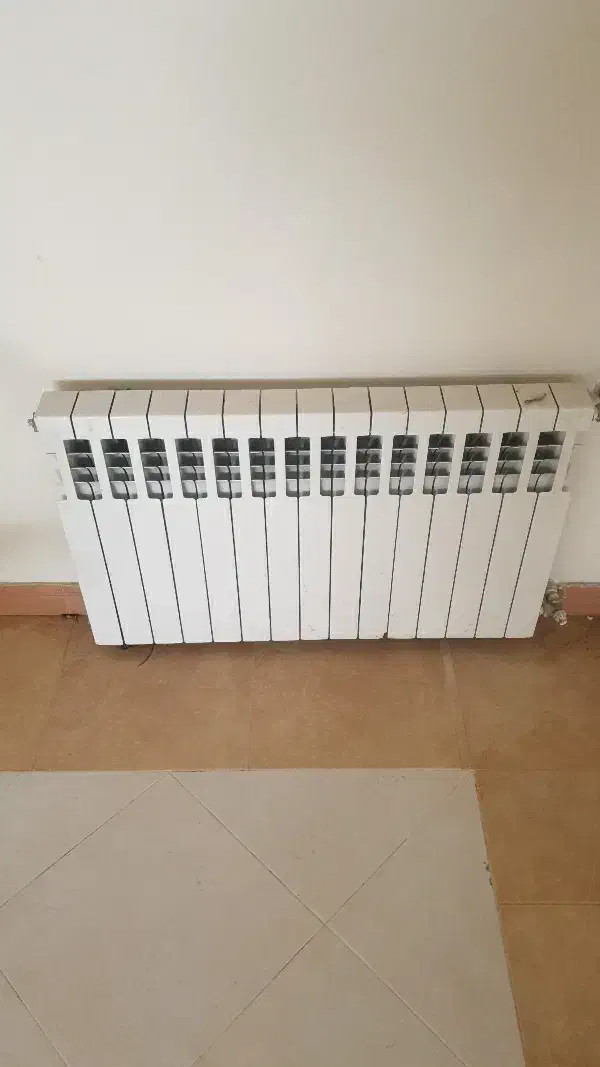 نصب و تعمیر تخصصی پکیچ و رادیاتور|خدمات پیشه و مهارت|کرمان, |دیوار