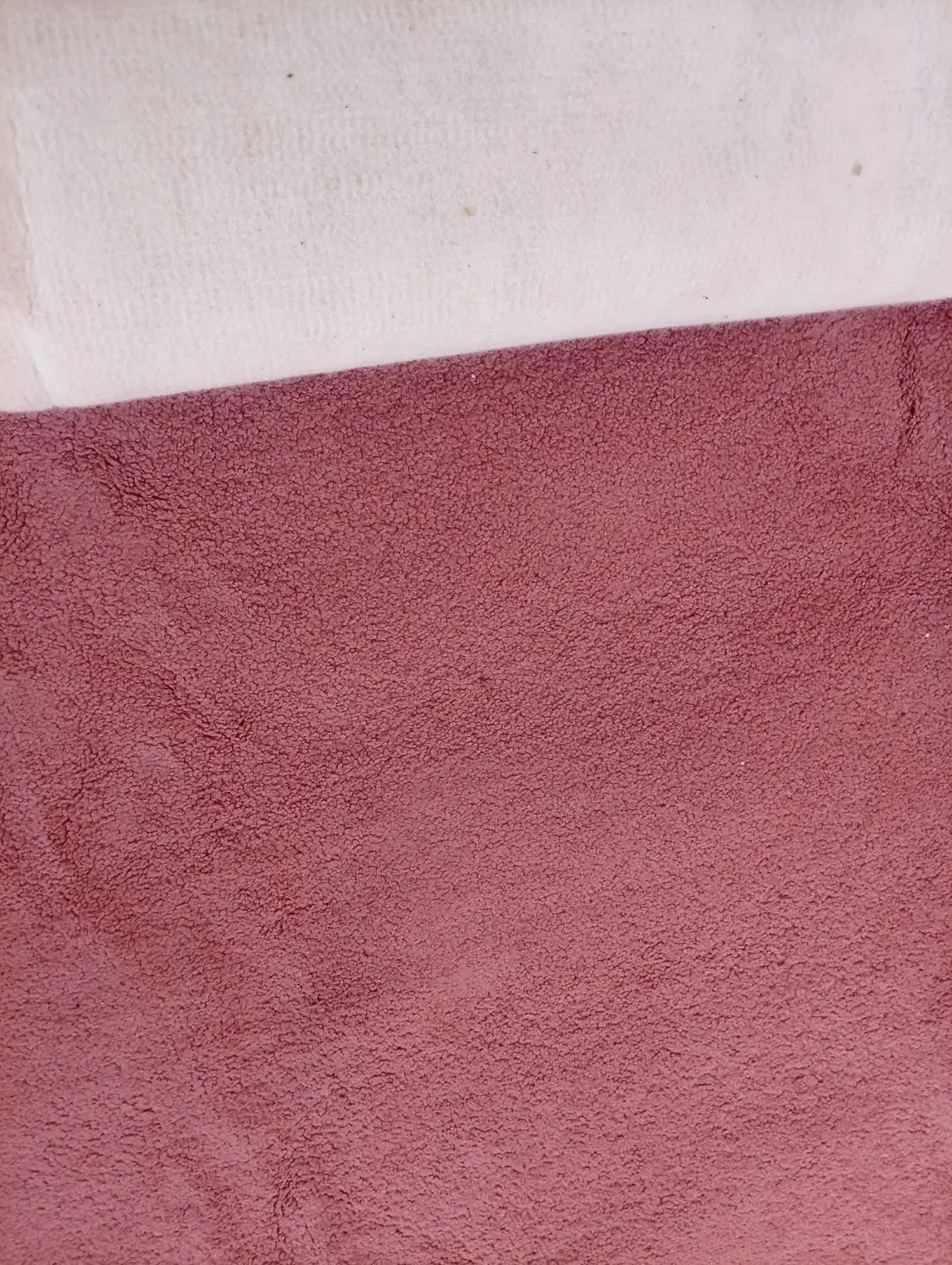 پالاز موکت درحد نو9متری|موکت|شیراز, مسلم|دیوار