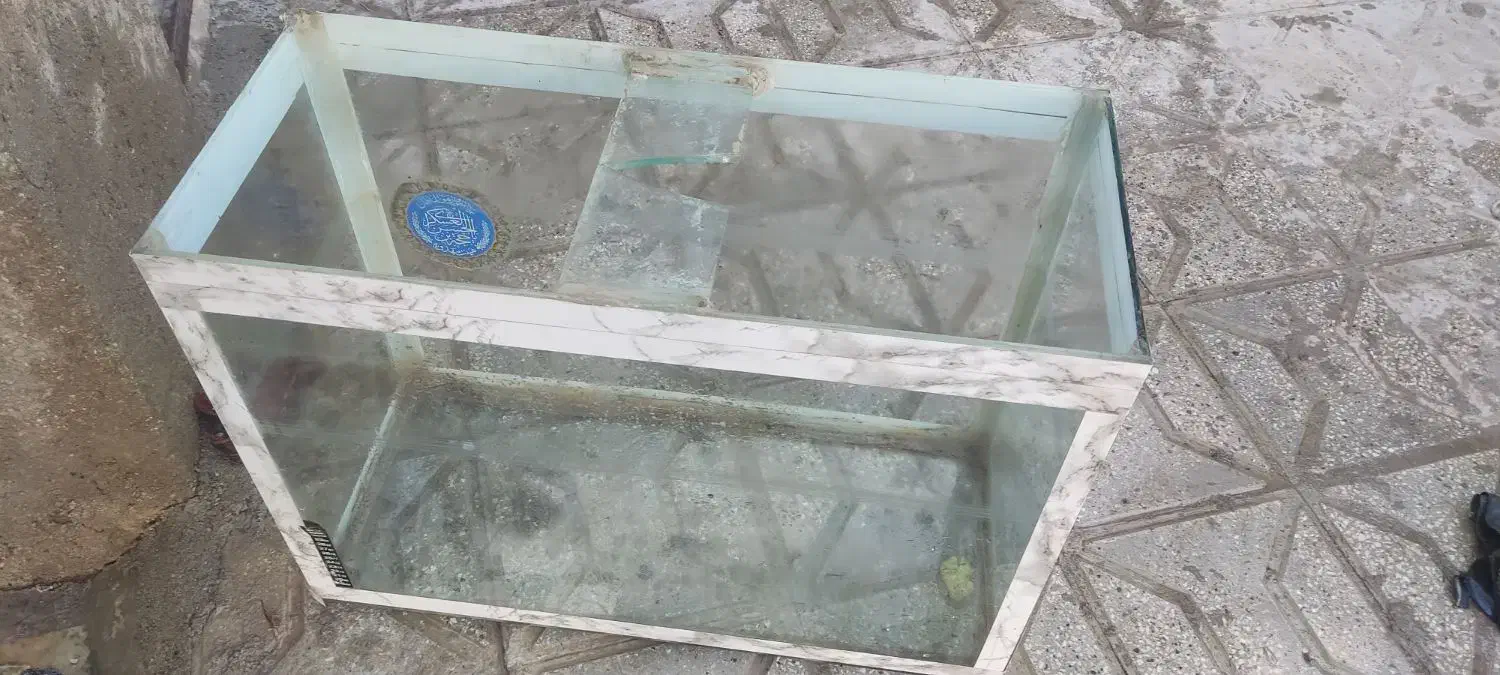 اکواریوم ماهی|ماهی|شیروان (خراسان), |دیوار