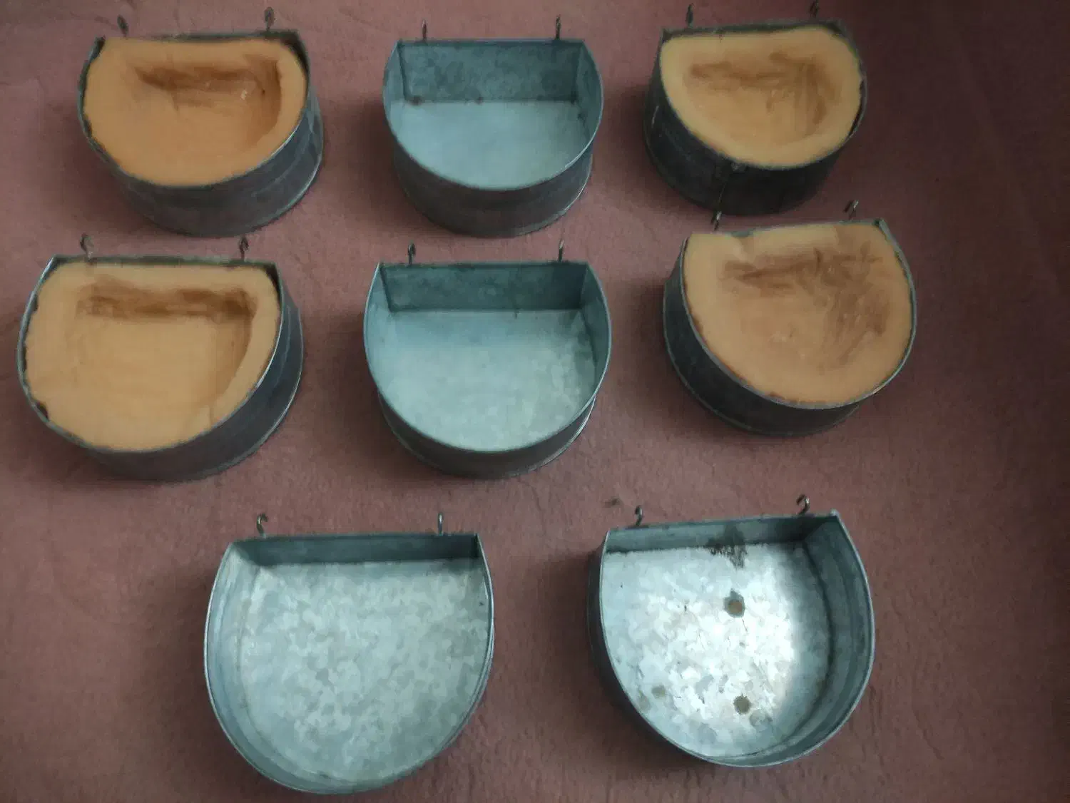 لوازم پرنده|لوازم جانبی حیوانات|شیراز, کوشک میدان|دیوار