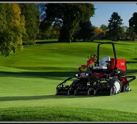 علف زنی|خدمات باغبانی و درختکاری|رشت, باهنر|دیوار