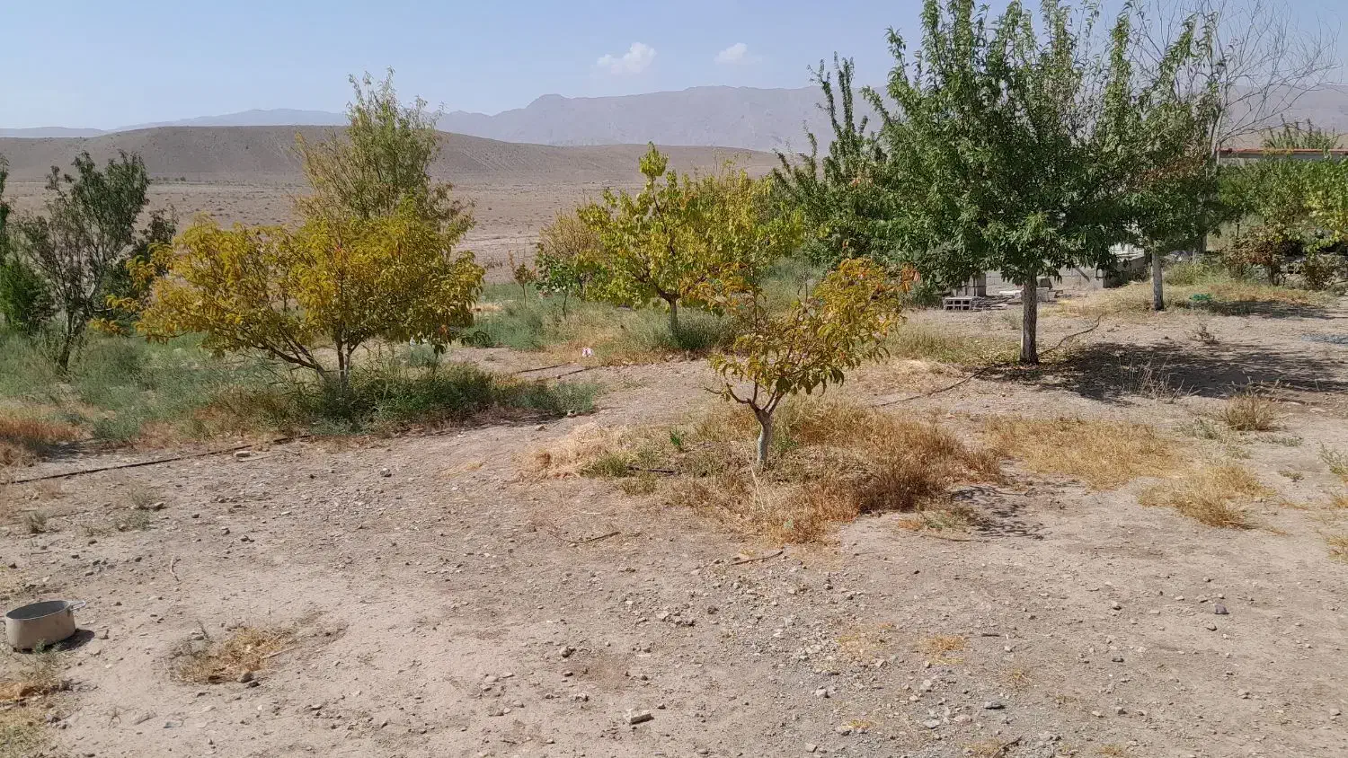 فروش باغ درجلفا روستای سیلگرد|فروش خانه و ویلا|جلفا, |دیوار