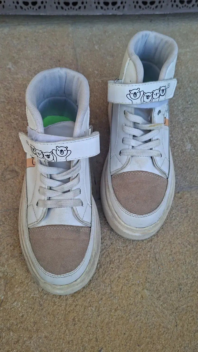 کفش نو|کیف، کفش، کمربند|ماکو, |دیوار