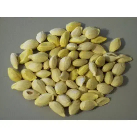 خریدار تفاله نارنج|خدمات باغبانی و درختکاری|زرگرشهر, |دیوار