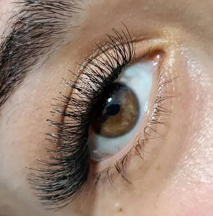 کاشت مژه . لیفت ابرو و لیفت مژه. پاکسازی|خدمات آرایشگری و زیبایی|فولادشهر, C7|دیوار