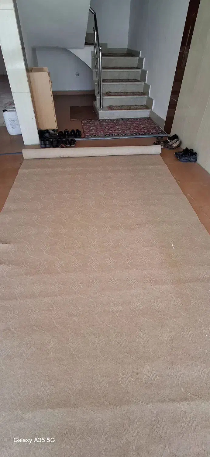 موکت ظریف مصور|موکت|اردبیل, |دیوار