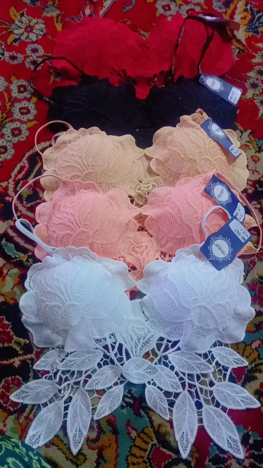 سوتین پروانه ای ۲۶۰|لباس|سربیشه, |دیوار