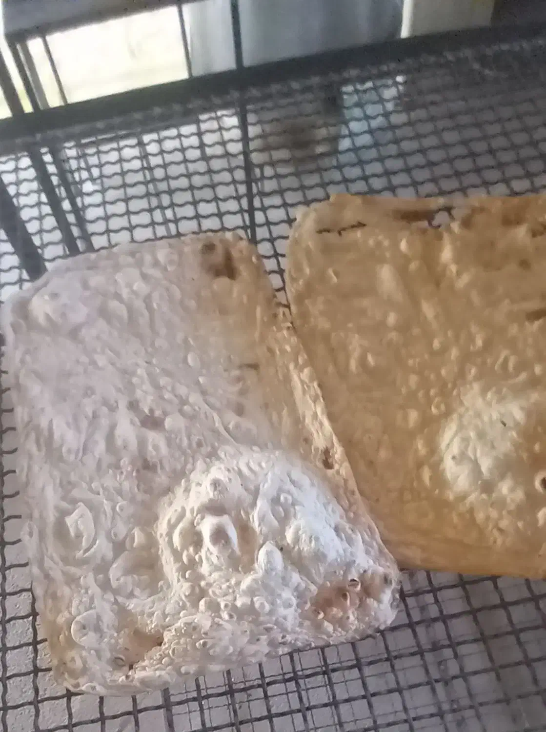 نان لواش محلی مجن|خوردنی و آشامیدنی|بسطام, |دیوار