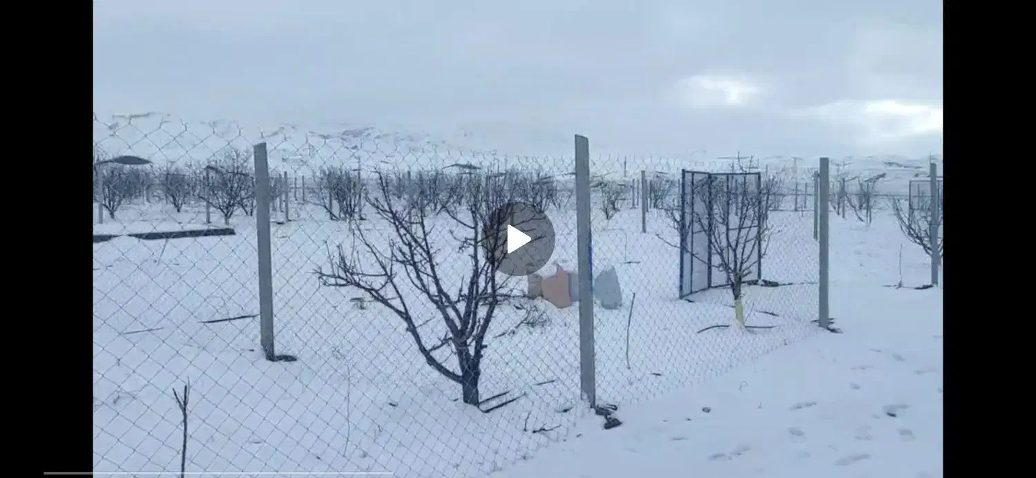 باغ در نزدیکی جلفا|فروش خانه و ویلا|جلفا, |دیوار