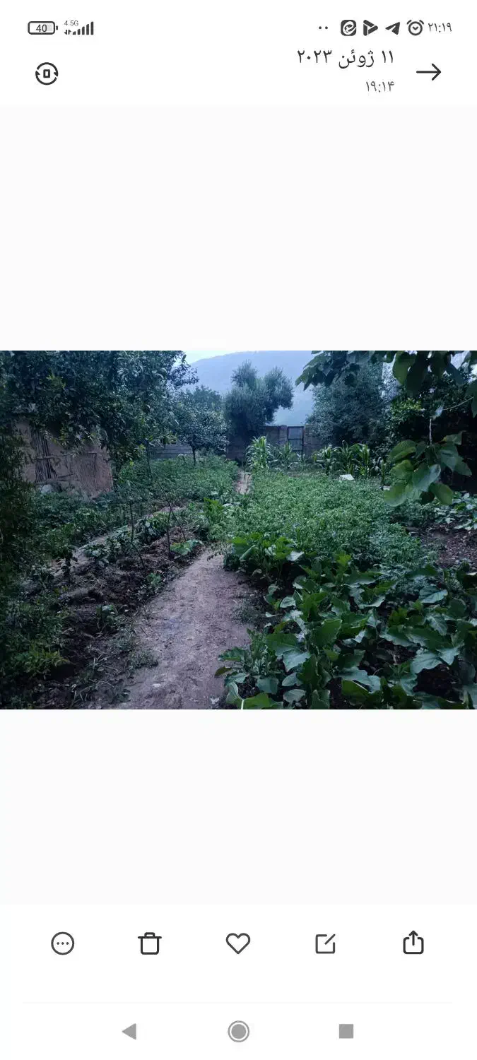 زمین مسکونی داخل شهر|فروش زمین و ملک کلنگی|رامیان, |دیوار