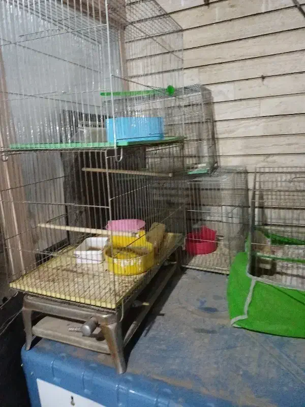 قفس قناری سالم|لوازم جانبی حیوانات|اصفهان, پوریای ولی|دیوار